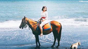 网红骑马爆料视频播放下载,播放下载量惊人！